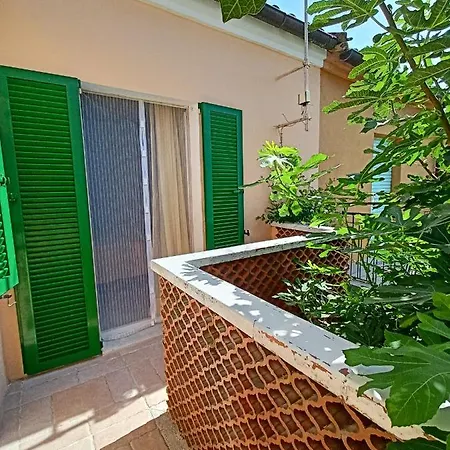 Se019 Senigallia, Delizioso Cielo-terra Con Portico Apartment *